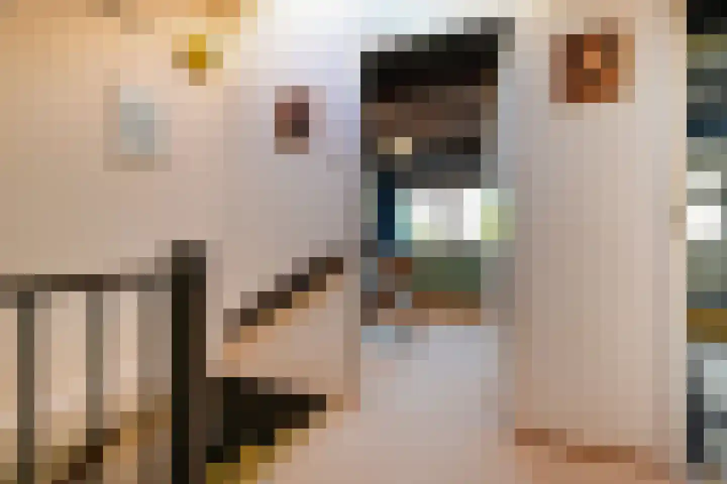 Valenberg 22 Zoetermeer thumbnail 45