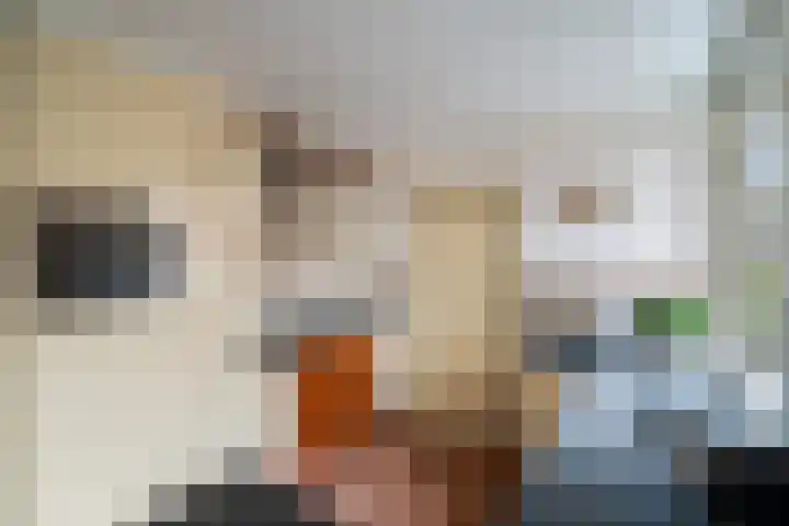Valenberg 52 Zoetermeer thumbnail 21