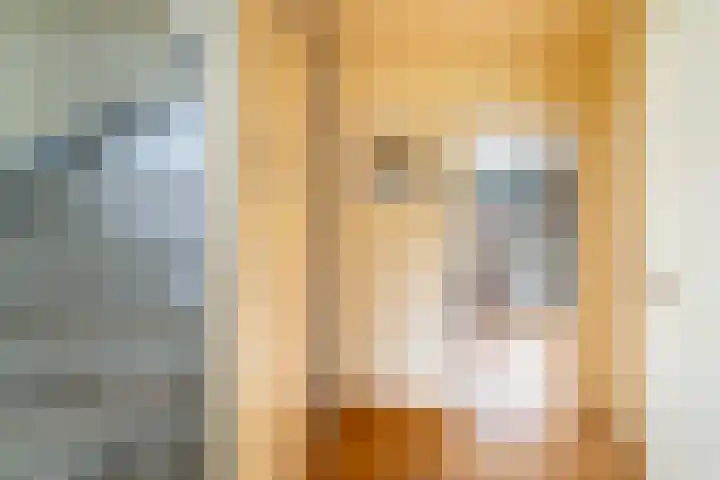 Valenberg 52 Zoetermeer thumbnail 34