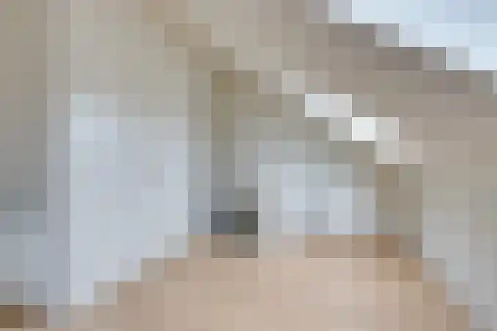 Valenberg 52 Zoetermeer thumbnail 4