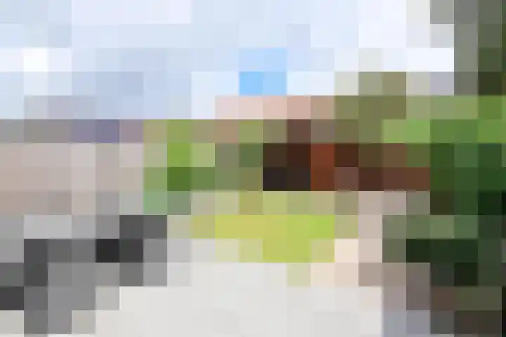 Valenberg 52 Zoetermeer thumbnail 42