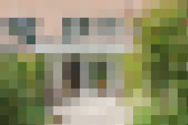 Valenberg 57 Zoetermeer thumbnail 17