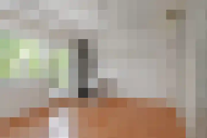 Valenberg 57 Zoetermeer thumbnail 31