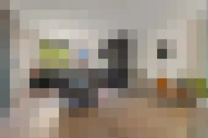 Valenciadreef 14 Rotterdam thumbnail 12