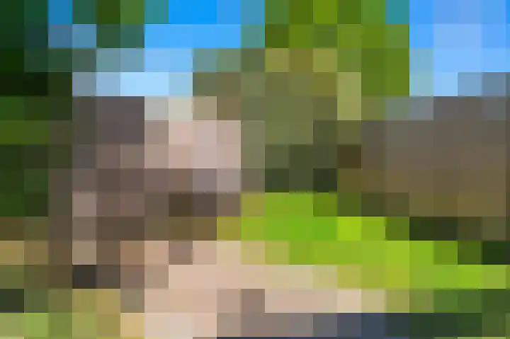 Valenciadreef 14 Rotterdam thumbnail 19