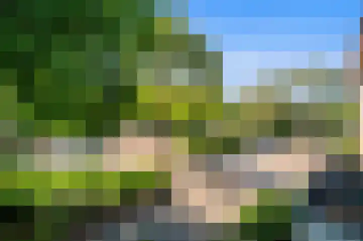 Valenciadreef 14 Rotterdam thumbnail 37