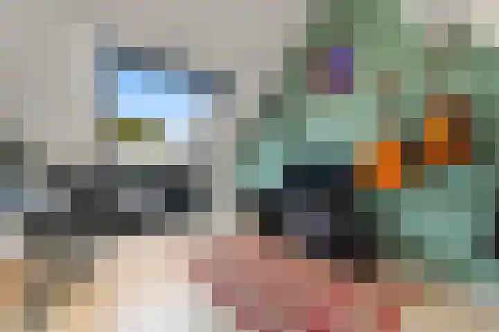 Valenciadreef 14 Rotterdam thumbnail 41