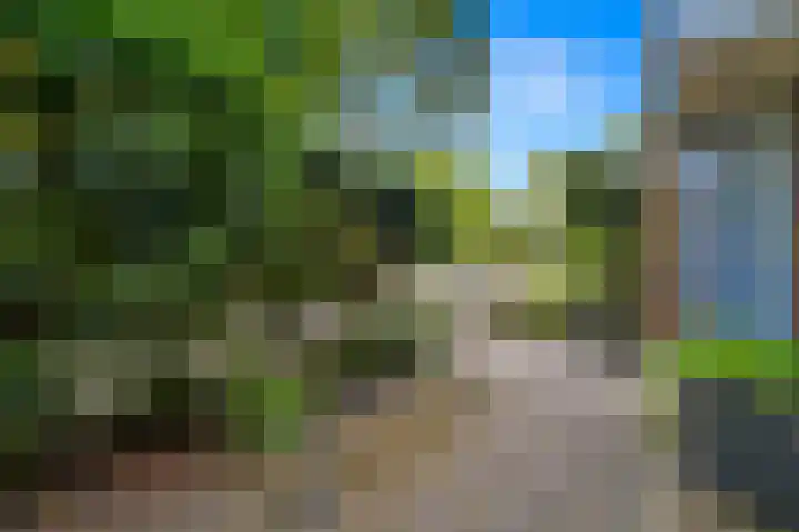 Valenciadreef 14 Rotterdam thumbnail 43