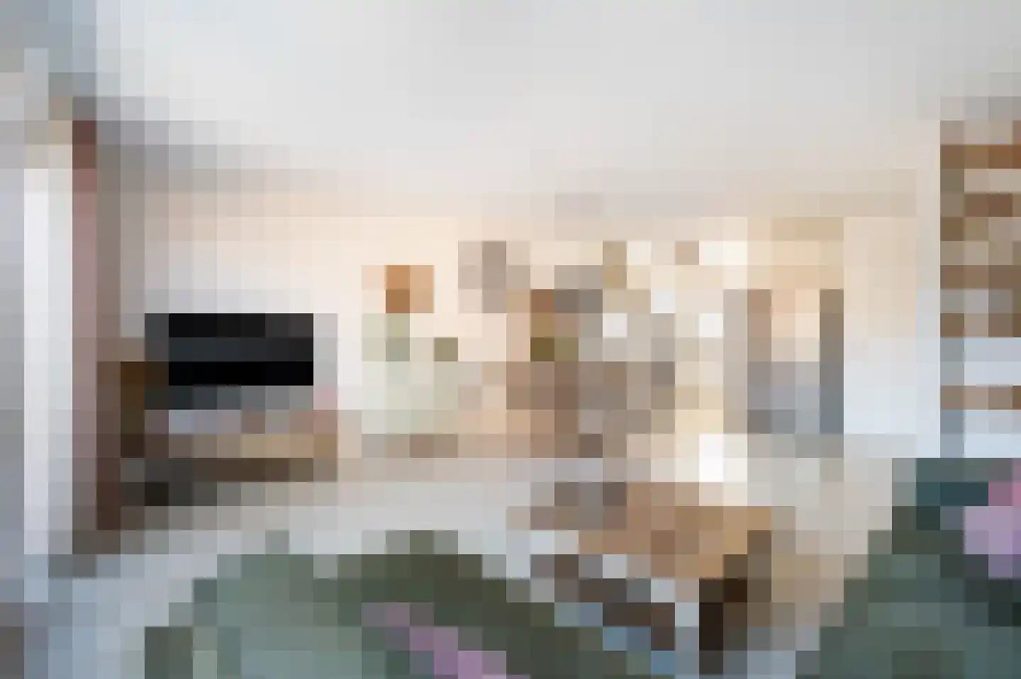 Valenciadreef 28 Rotterdam thumbnail 12
