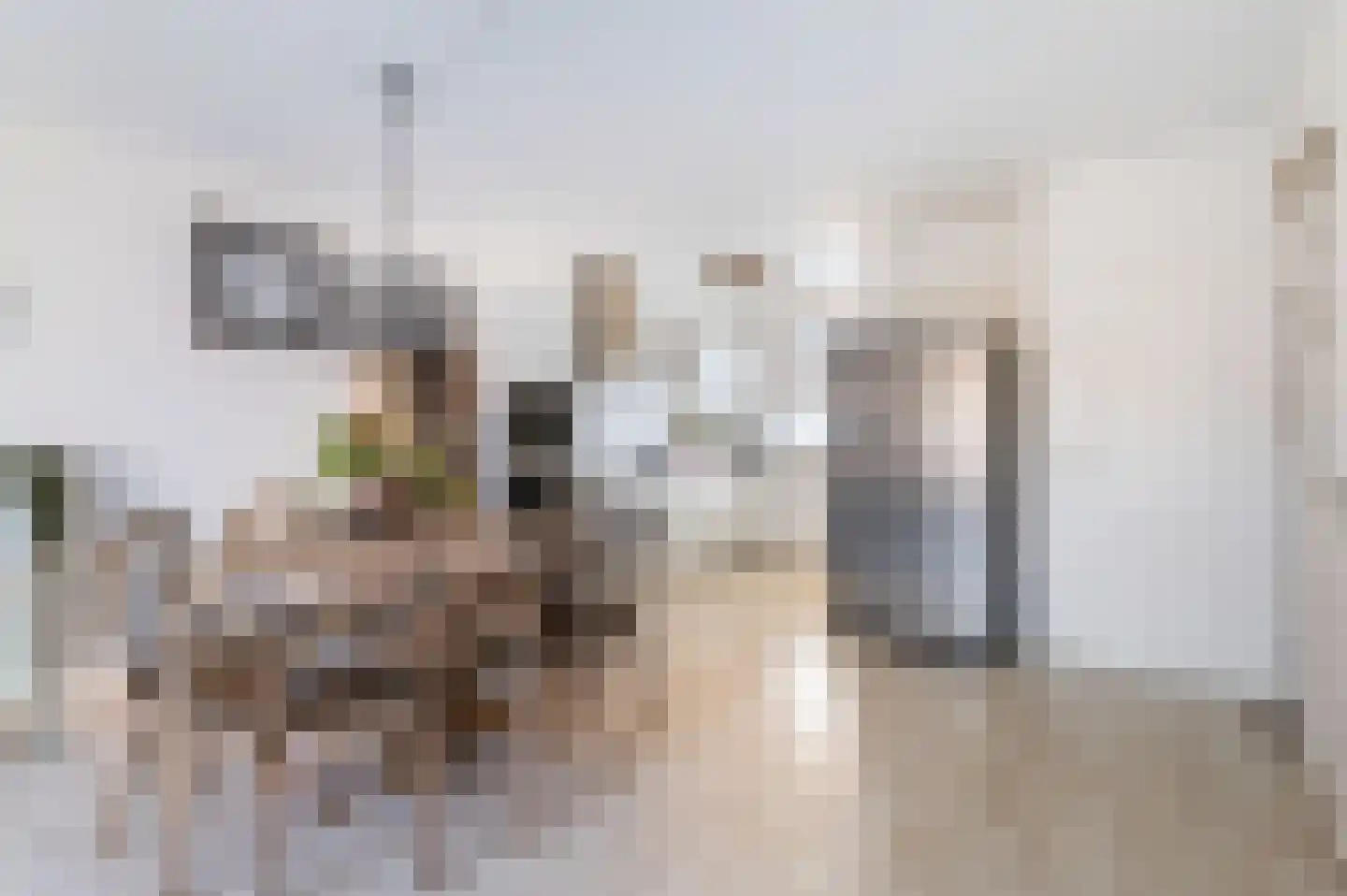 Valenciadreef 28 Rotterdam thumbnail 17