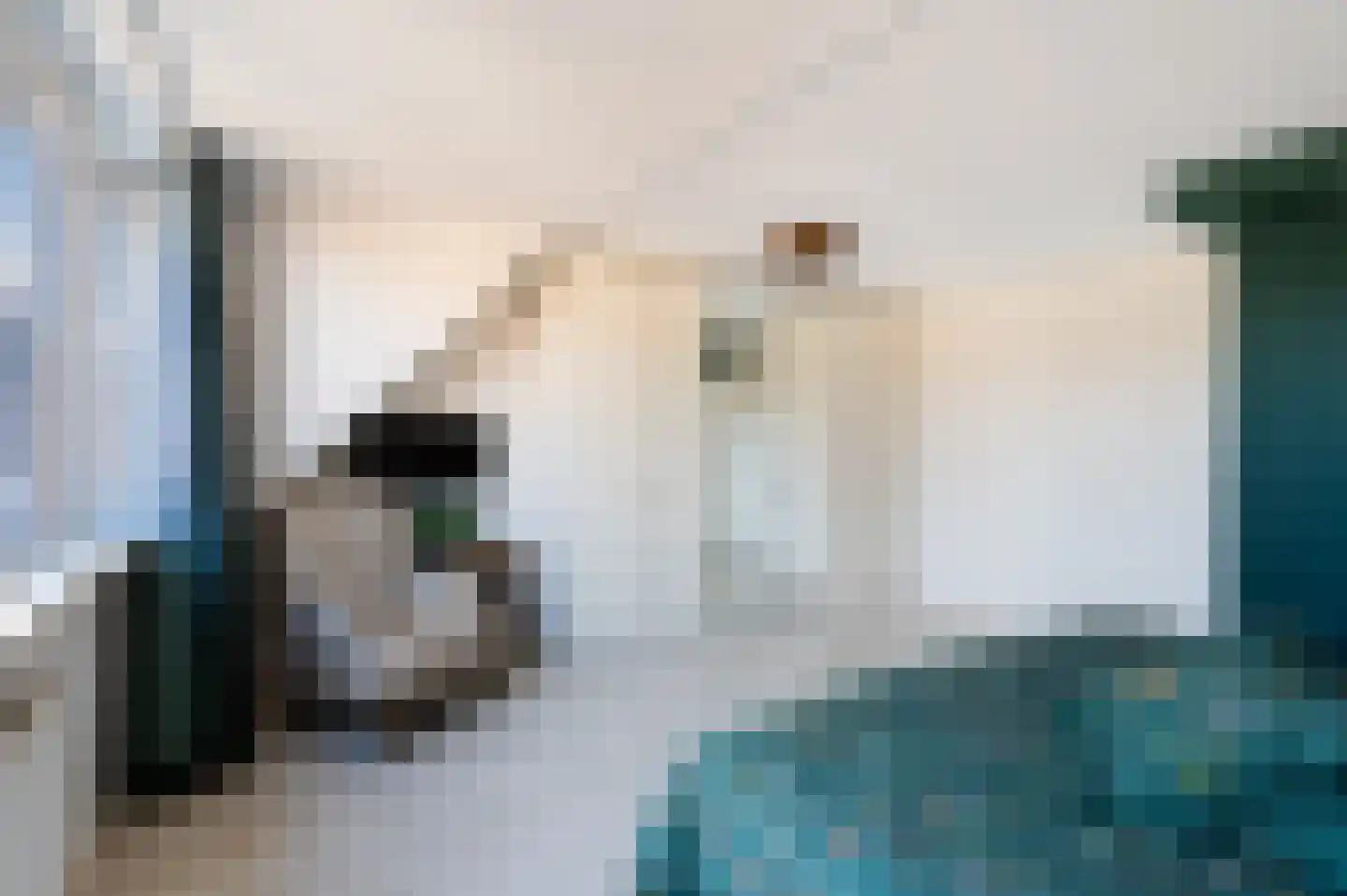 Valenciadreef 28 Rotterdam thumbnail 36