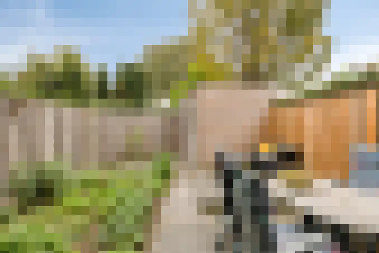 Valenciastraat 28 Lent thumbnail 16