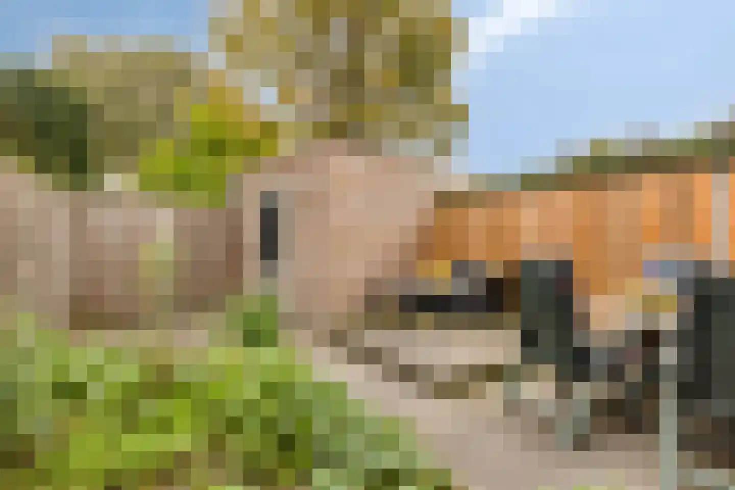 Valenciastraat 28 Lent thumbnail 17
