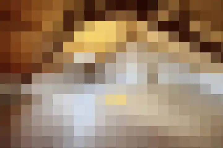 Valenciennesstraat 40 Fijnaart thumbnail 38