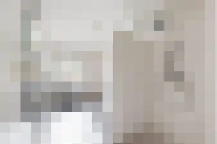 Valenciennesstraat 40 Fijnaart thumbnail 4