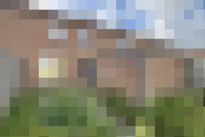 Valenciennesstraat 40 Fijnaart thumbnail 40