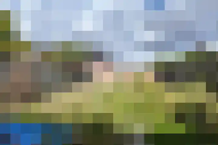 Valenciennesstraat 40 Fijnaart thumbnail 42