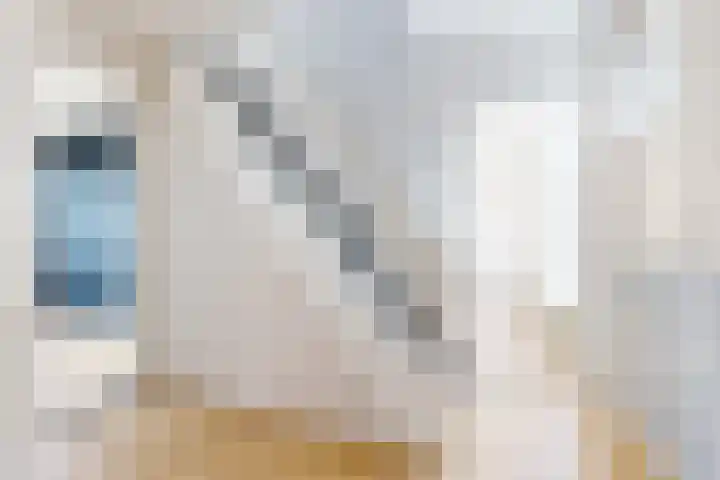 Valenciennesstraat 40 Fijnaart thumbnail 7