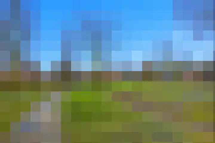 Valendries 10 Mill thumbnail 41
