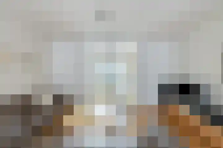 Valendries 10 Mill thumbnail 7