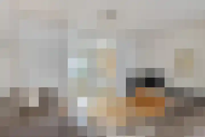 Valendries 10 Mill thumbnail 8