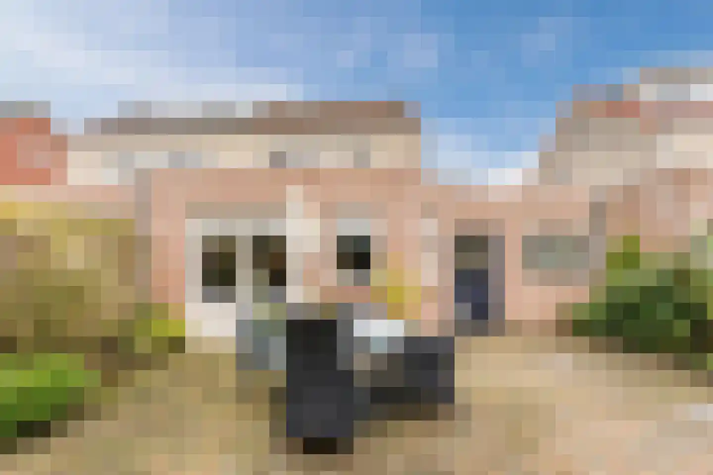 Valendries 16 Mill thumbnail 20