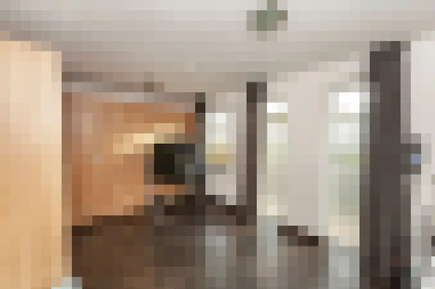 Valendrieseweg 301 Wijchen thumbnail 16