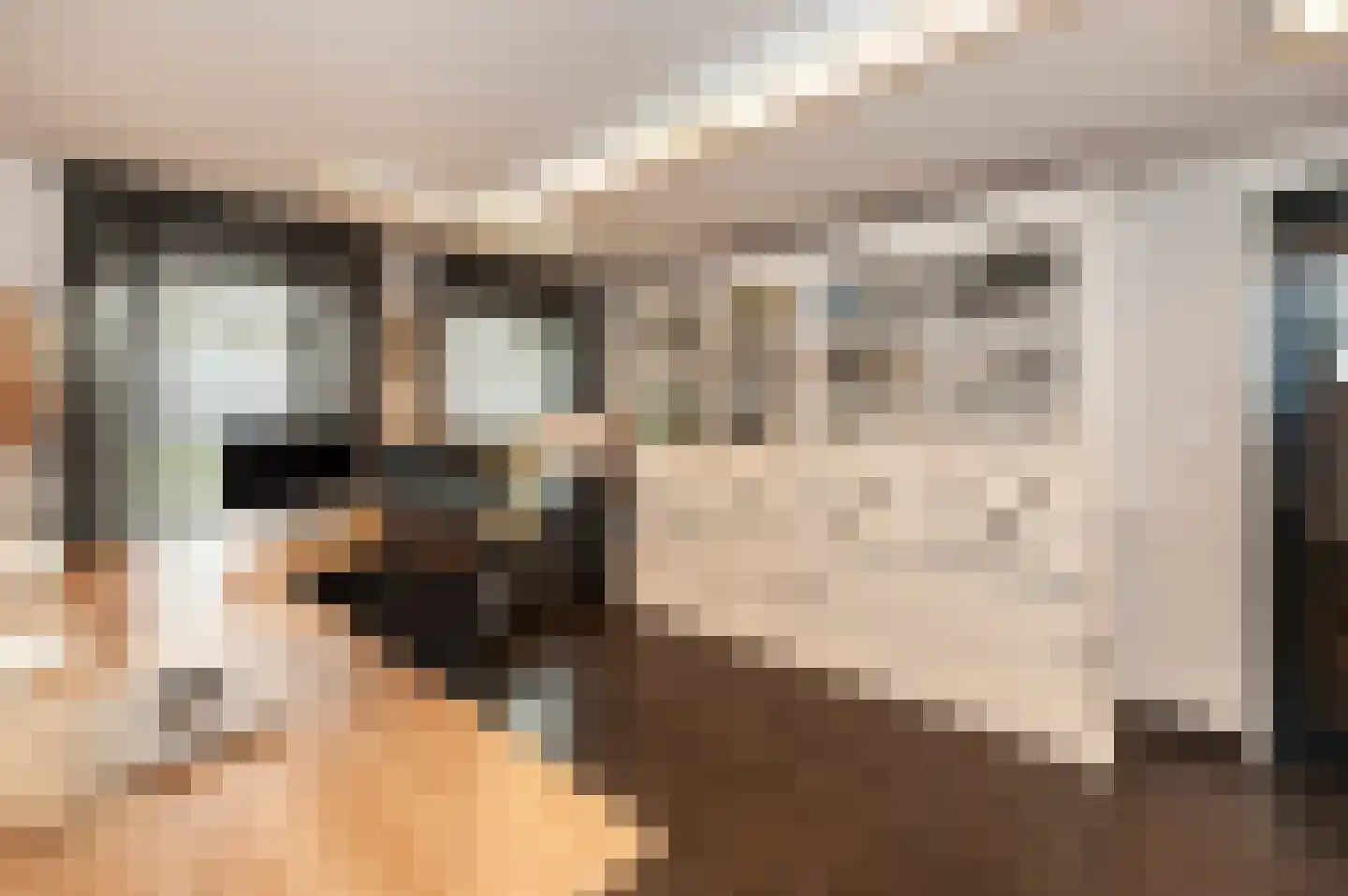 Valendrieseweg 301 Wijchen thumbnail 20