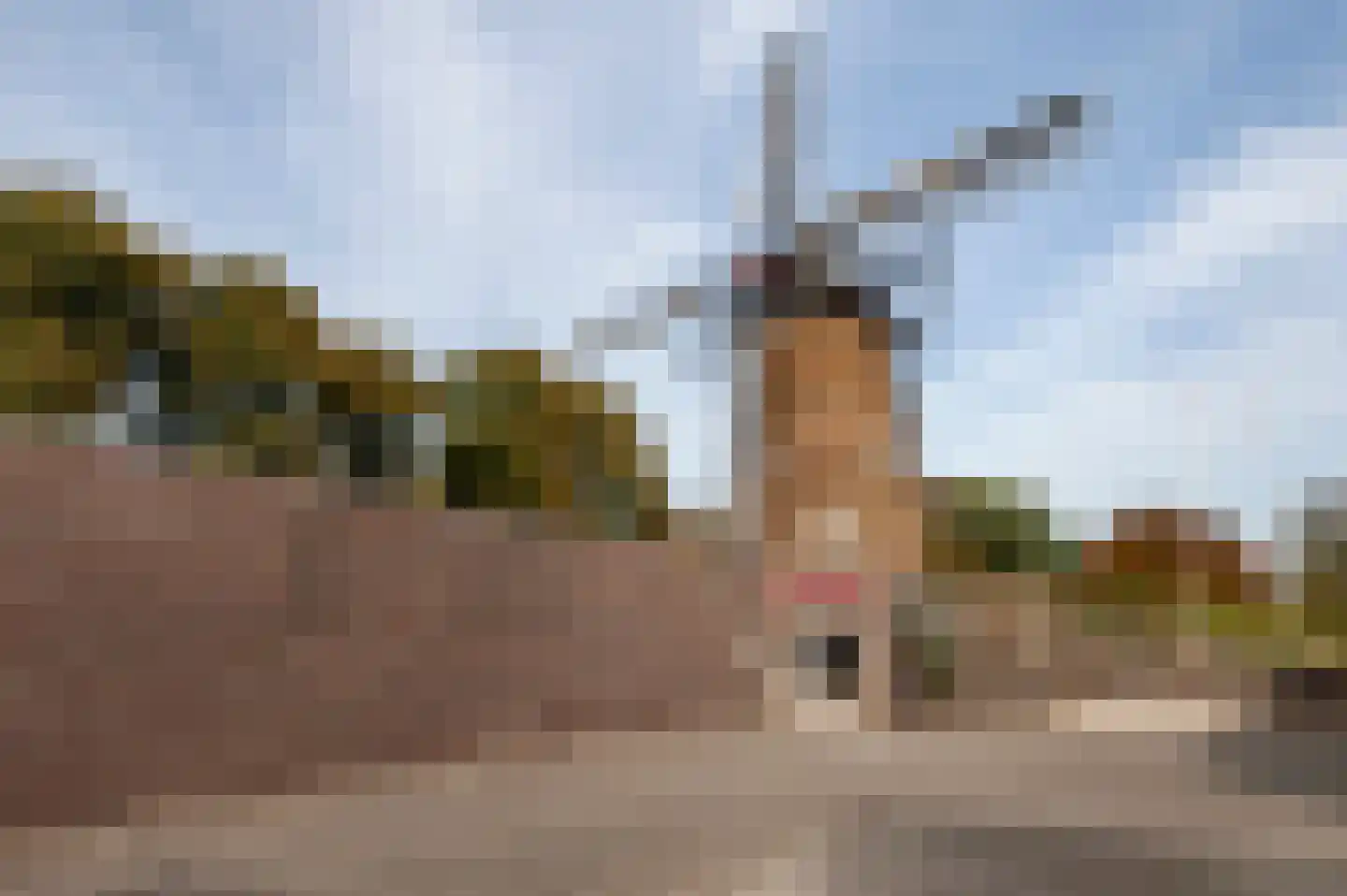 Valendrieseweg 301 Wijchen thumbnail 32