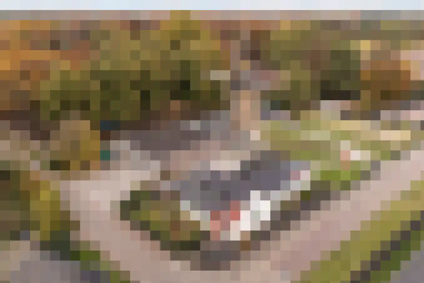 Valendrieseweg 301 Wijchen thumbnail 33