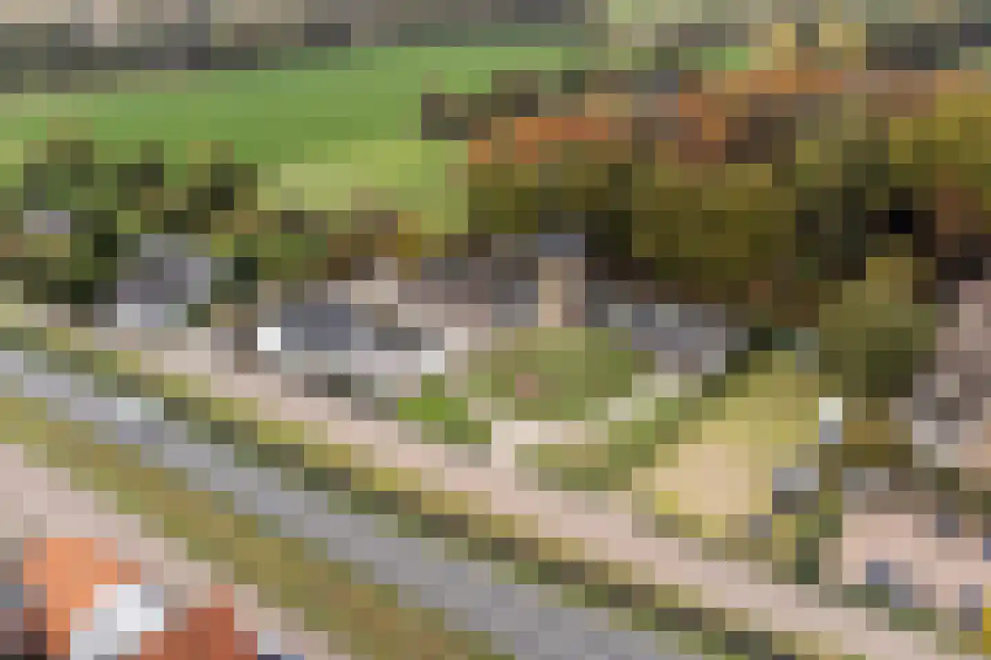 Valendrieseweg 301 Wijchen thumbnail 5