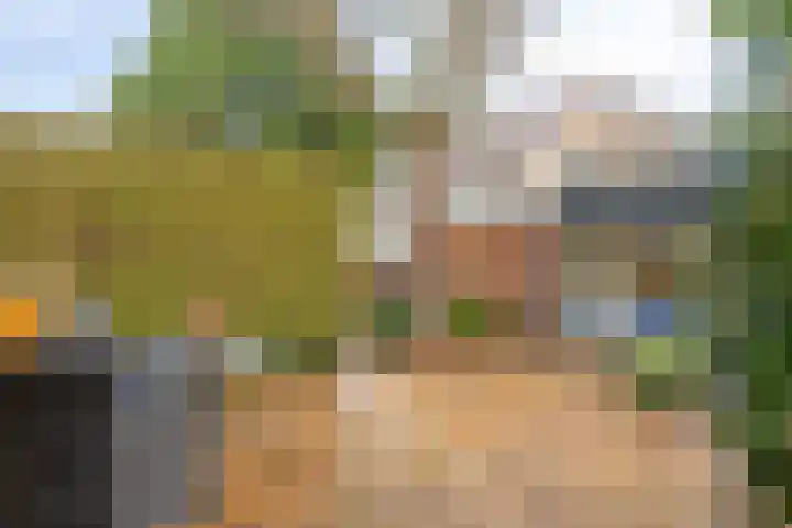 Valendrieseweg 32 Wijchen thumbnail 46