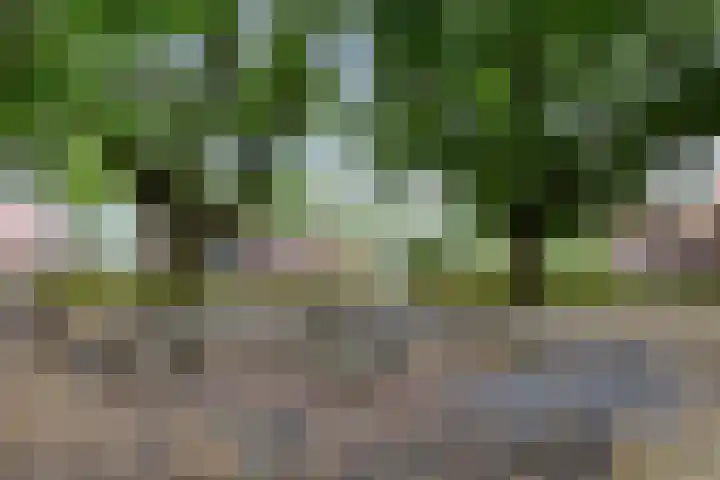 Valendrieseweg 34 A Wijchen thumbnail 43