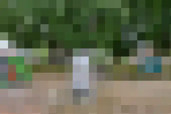 Valendrieseweg 34 A Wijchen thumbnail 44