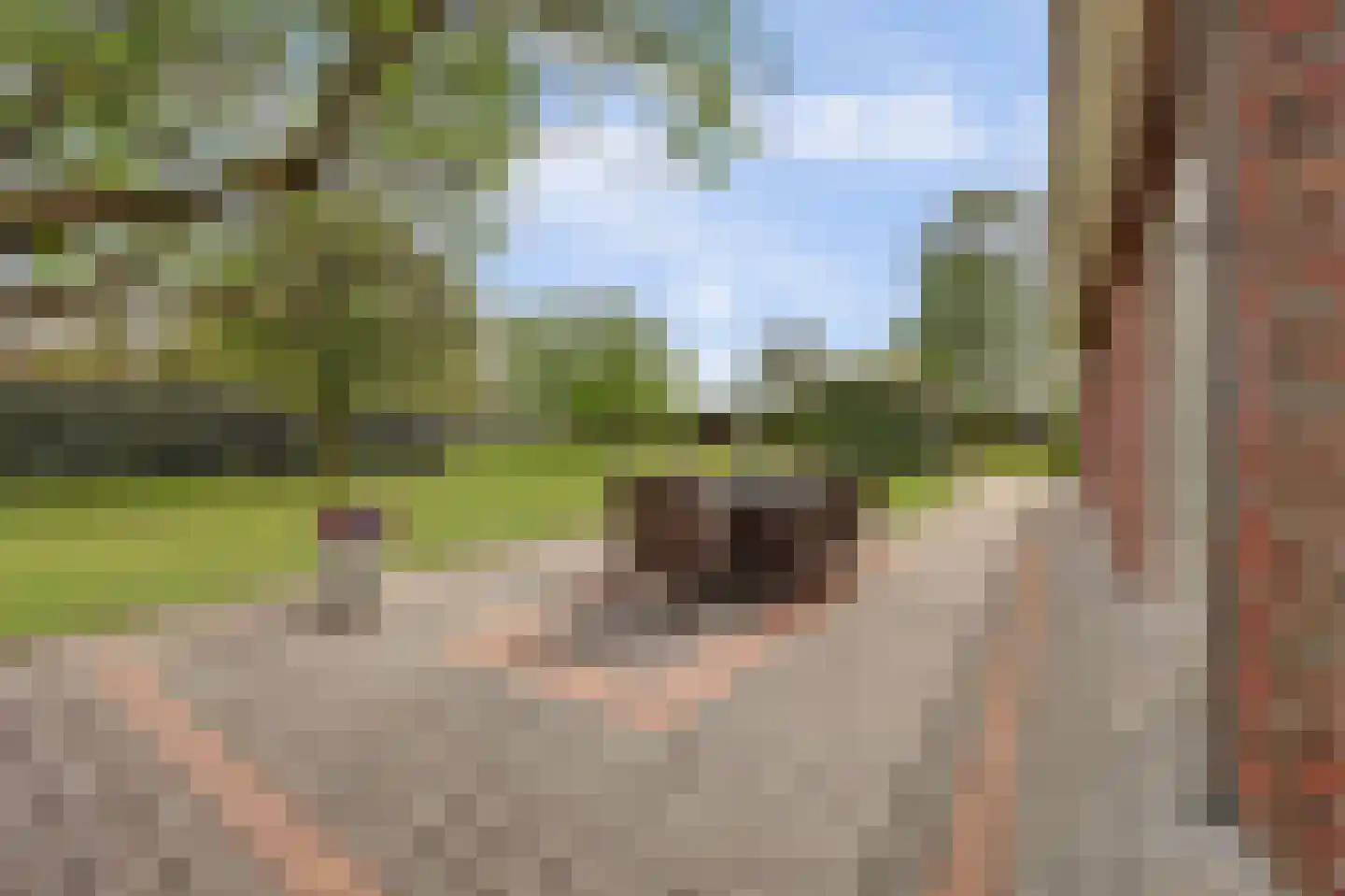 Valendrieseweg 85 Wijchen thumbnail 39