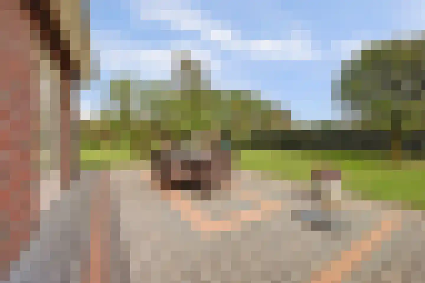 Valendrieseweg 85 Wijchen thumbnail 40