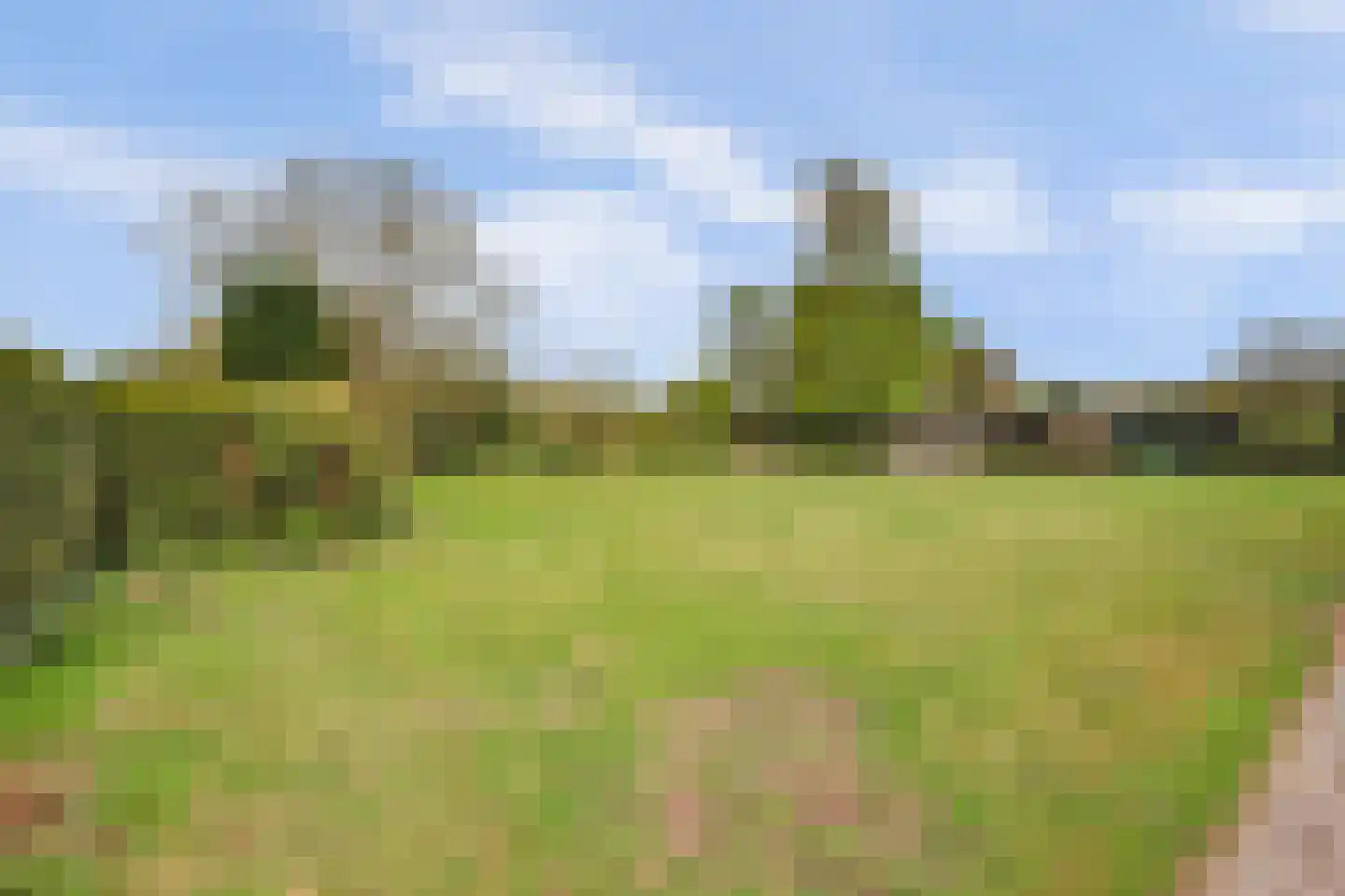 Valendrieseweg 85 Wijchen thumbnail 44