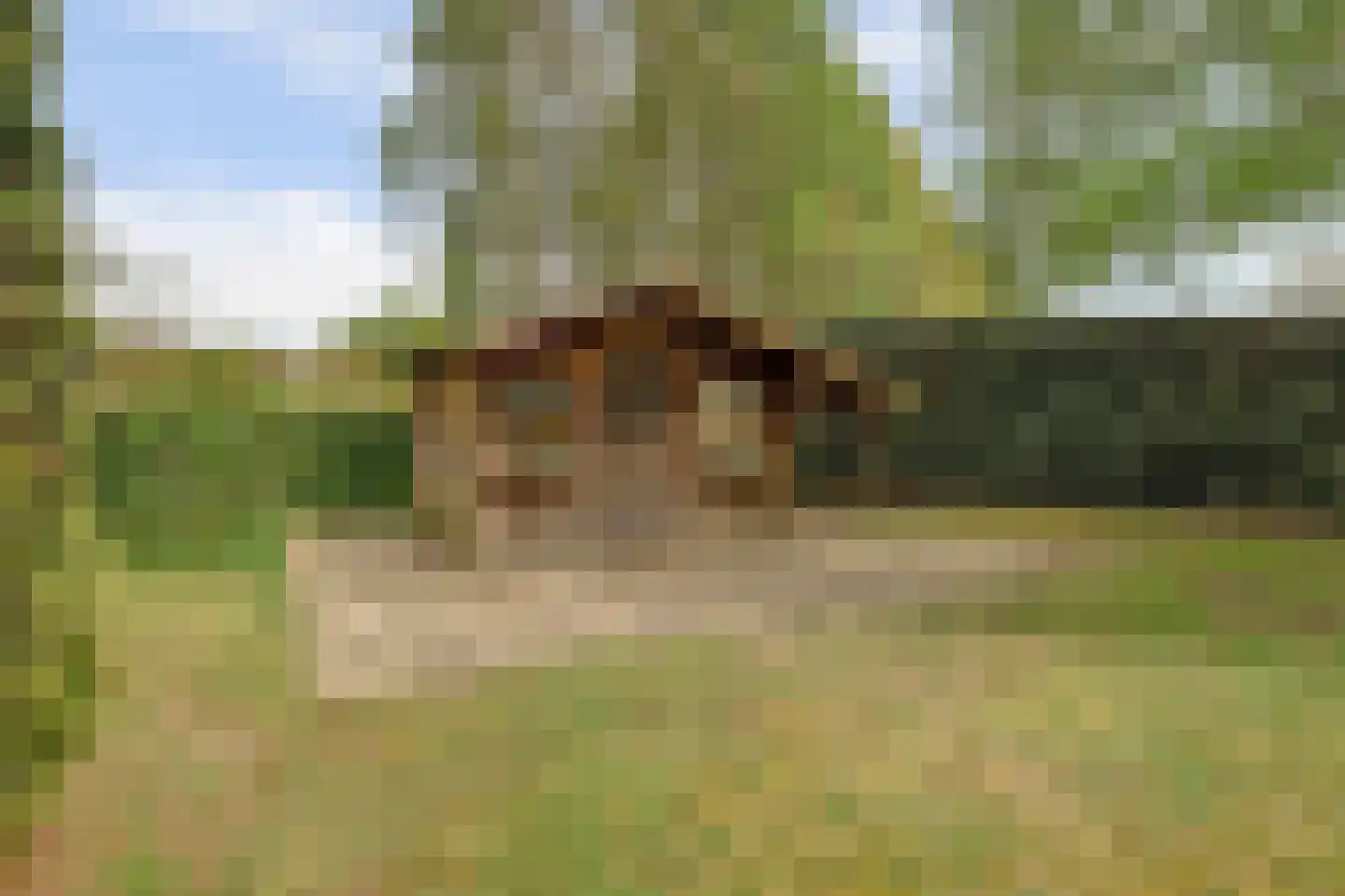 Valendrieseweg 85 Wijchen thumbnail 48