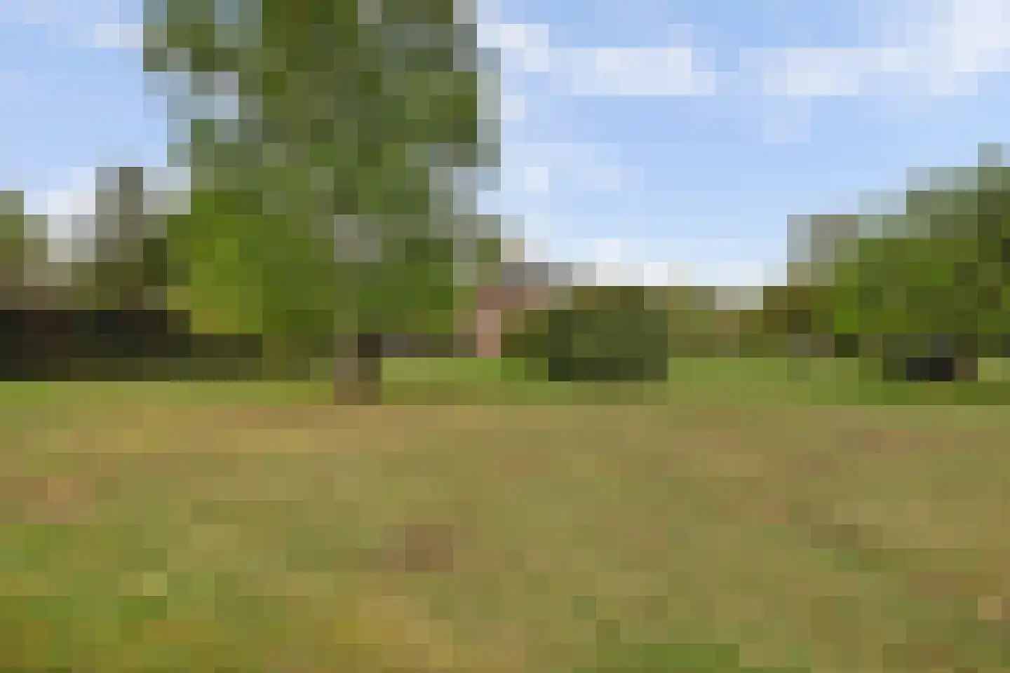 Valendrieseweg 85 Wijchen thumbnail 49