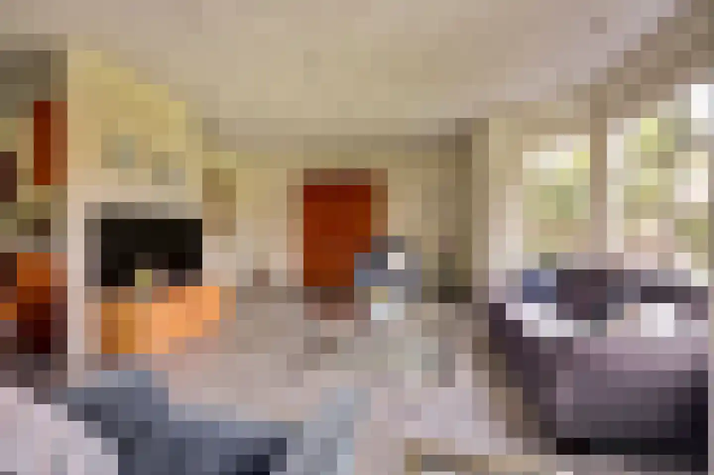 Valendrieseweg 85 Wijchen thumbnail 5
