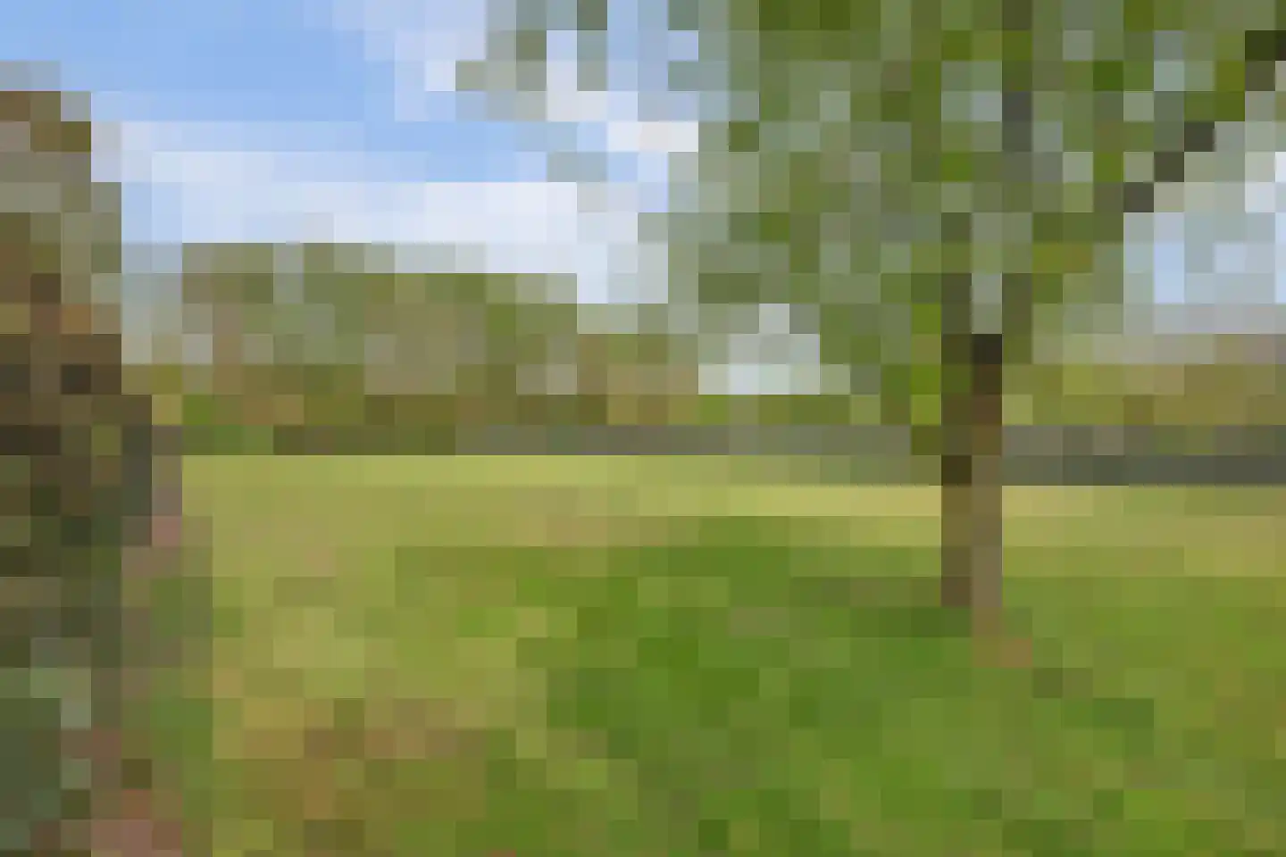Valendrieseweg 85 Wijchen thumbnail 52