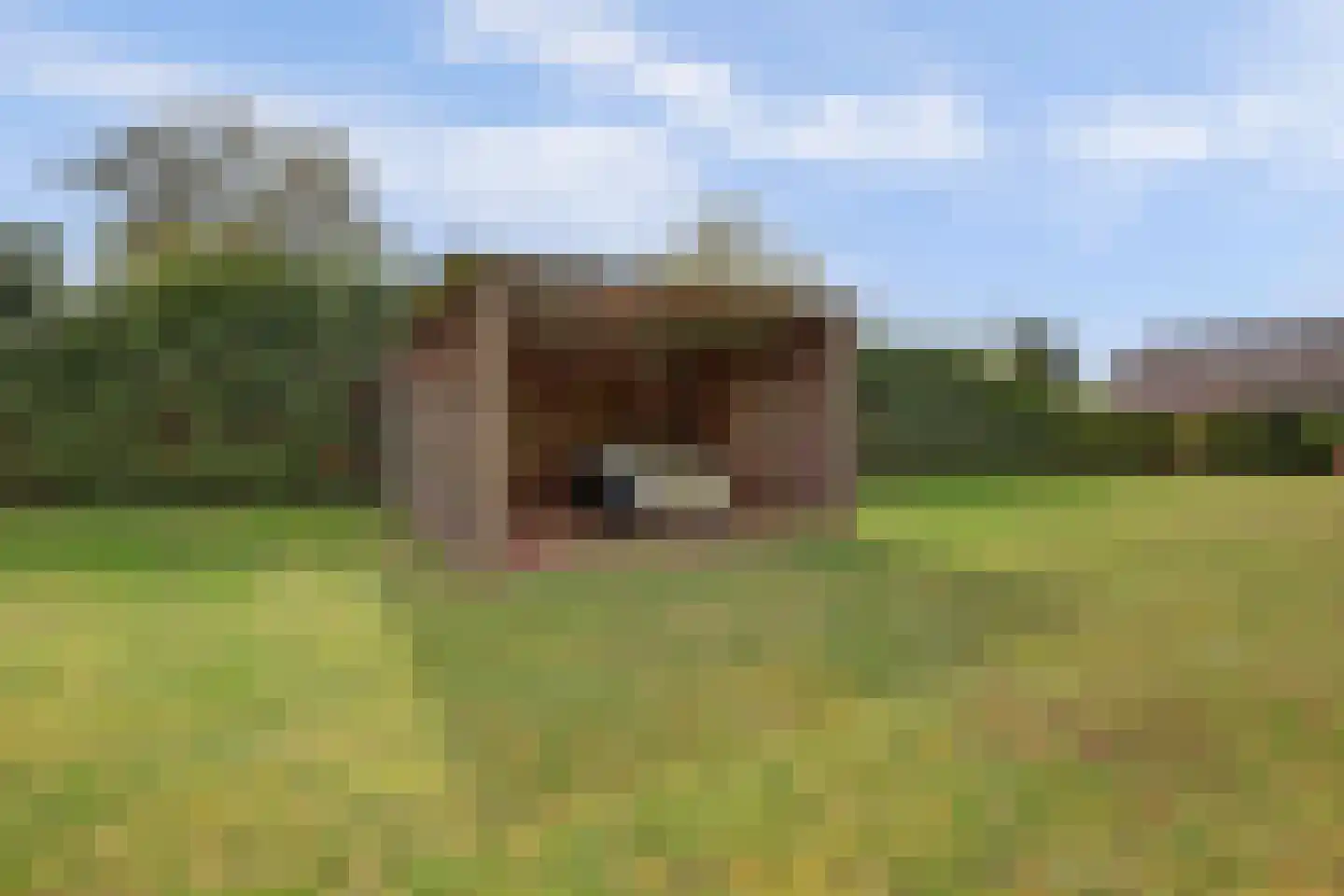 Valendrieseweg 85 Wijchen thumbnail 54