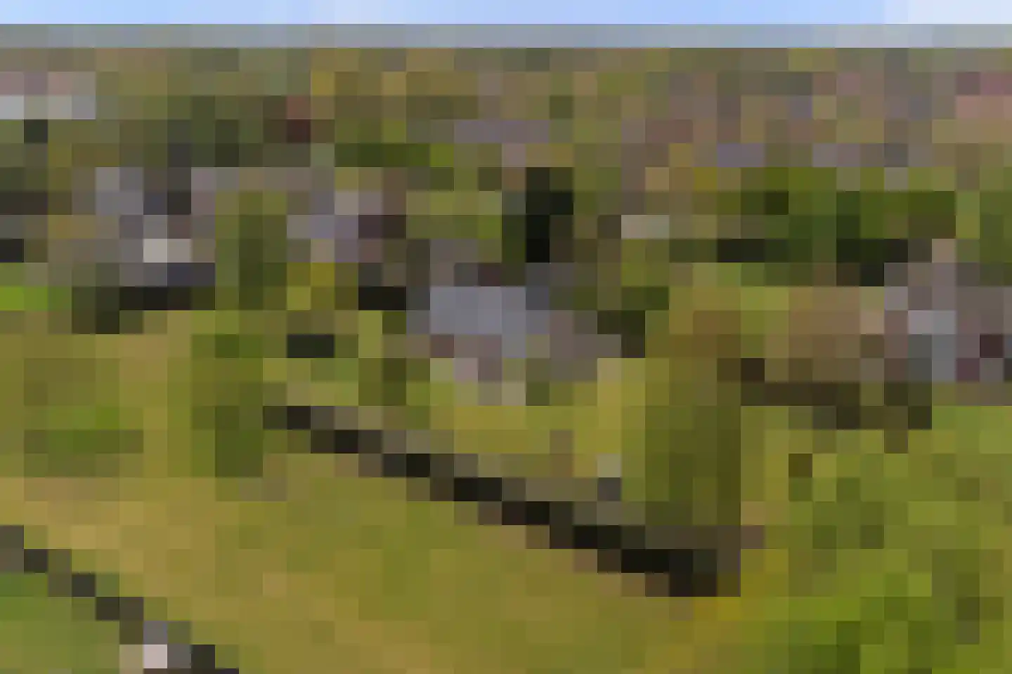 Valendrieseweg 85 Wijchen thumbnail 57