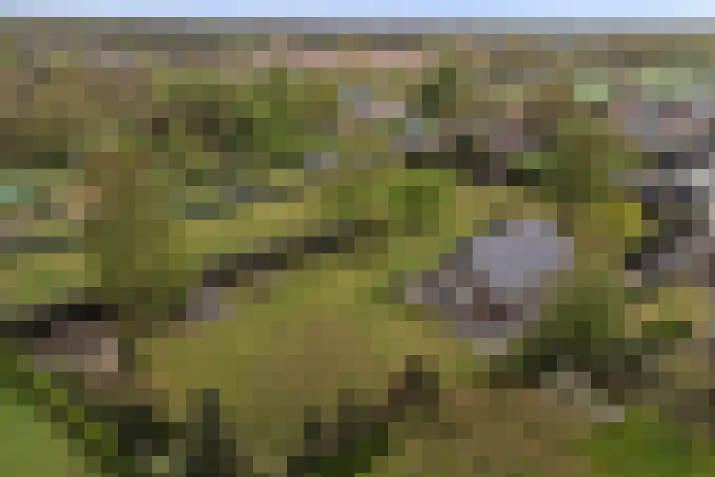 Valendrieseweg 85 Wijchen thumbnail 58