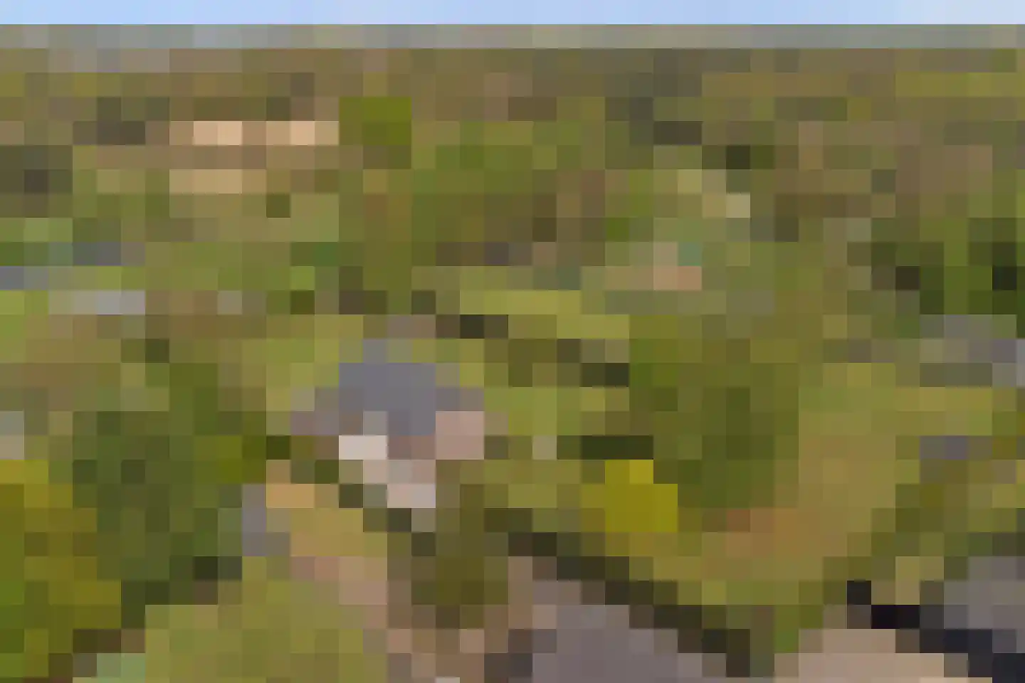 Valendrieseweg 85 Wijchen thumbnail 59