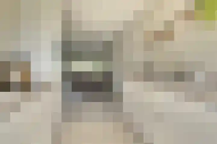 Valenkamp 4 Elst thumbnail 11