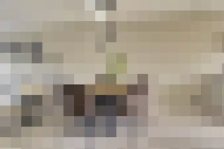 Valenkamp 4 Elst thumbnail 12