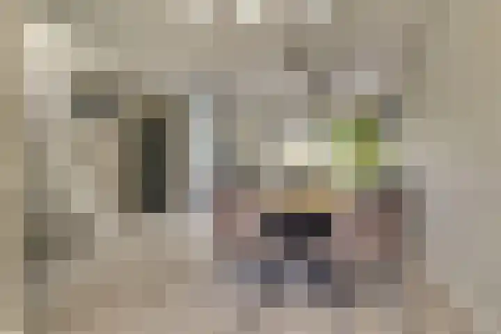 Valenkamp 4 Elst thumbnail 13