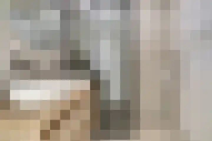 Valenkamp 4 Elst thumbnail 19