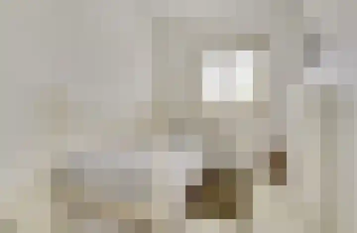 Valenkamp 4 Elst thumbnail 26
